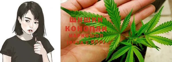 стафф Ростов