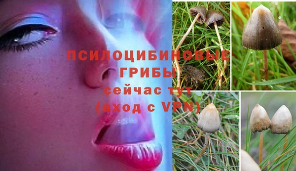 кокаин Бородино