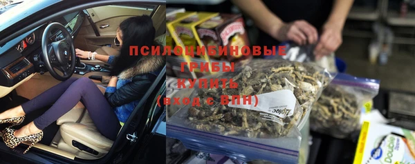 твердый Бронницы