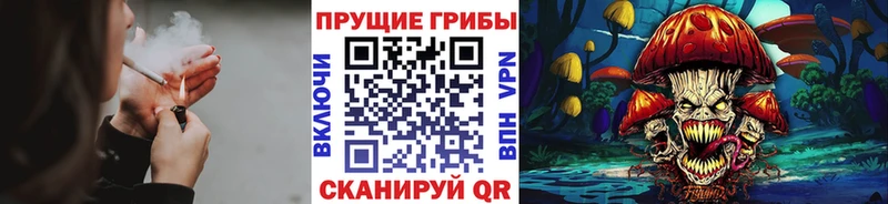 Псилоцибиновые грибы ЛСД  Мыски 